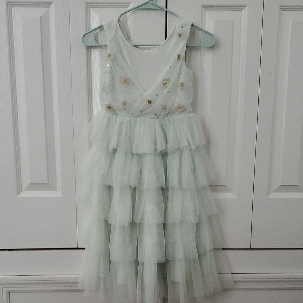 Disney (Princess Tiana?) Mint Green Layered Tulle Dress w/ Gold Sequin Flowers
